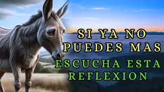 Cuando SIENTAS Que NO PUEDES Más | Una Reflexión Que Cambiará Tu Día | reflexión gratitud motivación