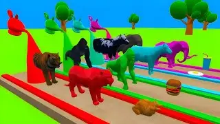 Paint  Animals | Gorilla Cow Elephant Tiger | Fountain Crossing Cartoon | Wild Animal | #fountain