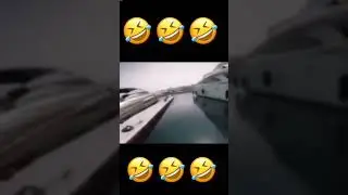 🤣🤣🦈
