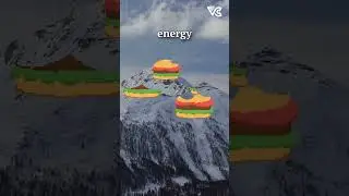 Climbing Mt Everest on Big Macs? #everesttrek #everest #mteverest #shorts #short
