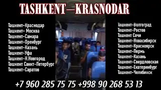 Ташкент Краснодар автобус # Краснодар Ташкент автобус # ￼ Ташкент Ростов автобус,