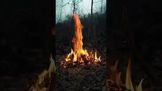 Campfire ASMR