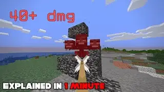 The MOST Amount of Damage You Can Deal in Minecraft || 1 Minute Tutorial