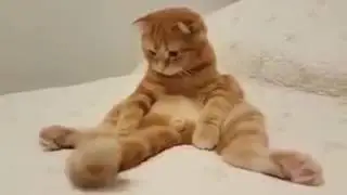 Canım sıkılınca ben