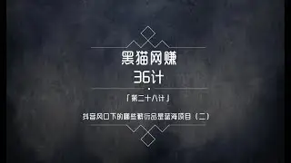 黑猫网赚36计第28计：短视频风口下的蓝海项目（二）