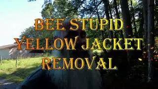 Yellow Jacket Extermination