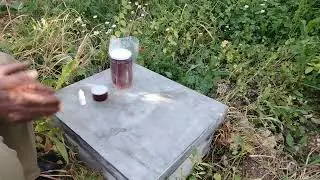 الجدوى الاقتصاديه لتربية النحل
