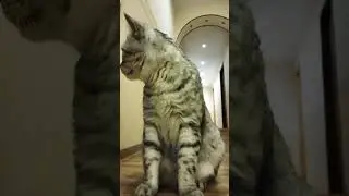 Вот так встреча 