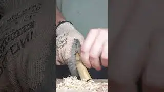 Master Alexduduk
