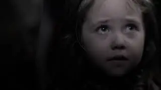 bird box edit