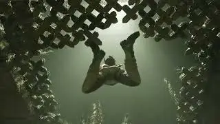 Shadow of the Tomb Raider error