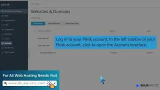How to change your Plesk account contact details   BLUE ARCTIC