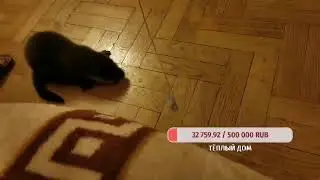 разговорчики