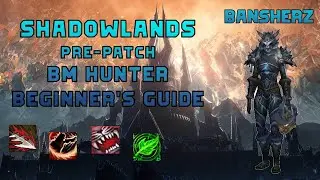 Shadowlands Pre-Patch BM Hunter Beginner's Guide