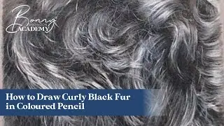 How to Draw Curly Black Fur in Coloured Pencil