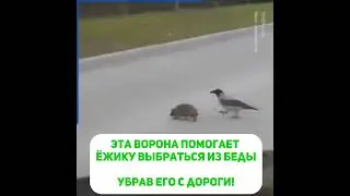 Для многих людей на этом видео запечатлено то, чего им не хватало в раннем возрасте.