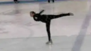 Flying Camel