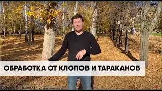 Гринери. Обработка от клопов и тараканов. Защита от насекомых. Уничтожение мух.
