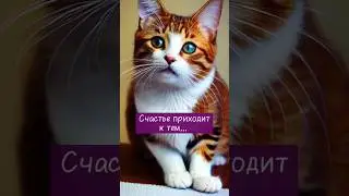 Ждать - не значит ничего не делать😏🐱 