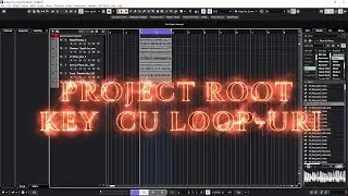 PROJECT ROOT KEY CU LOOP-URI AUDIO CUBASE