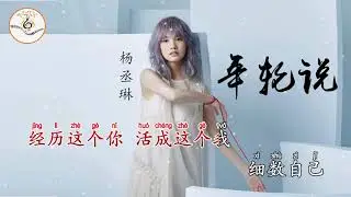 年轮说 杨丞琳 拼音字体 ktv 卡拉ok字幕
