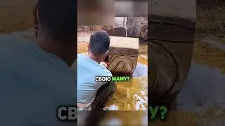 Создал из бревна уникальный стол😍