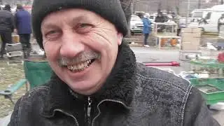 Выставка голубей в  г  Кривой Рог 22 02 2020 г