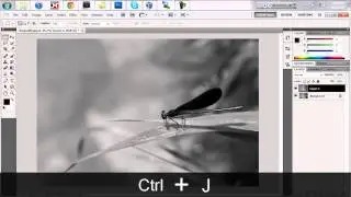 Photoshop | Outline Effect