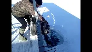 IMG 3524