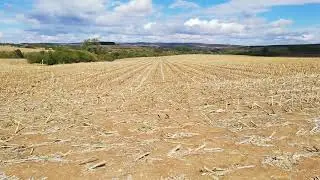 Стърнища край село Големаните - 29.09.2020 г.