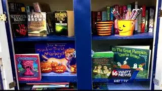 Decorations missing from little library