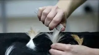 Основные инструменты для стриппинга