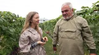 Виноградарь Зверев атабаево