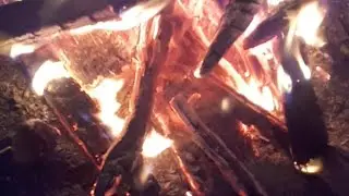 Xx