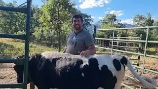 Autóctono Franquito cada vez que lo grabo se porta mal y no me obecede 😊