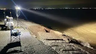Nighttime Jetty Fishing with 1,000 Watts of Electricity (Catch, Clean, Cook) S6 E79