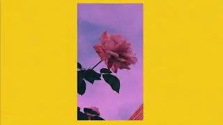 Free WOS x MGK Rock Type Beat 