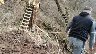 Ломаем дерево! Он остался жив!