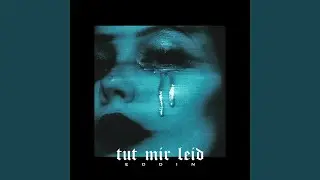 Tut mir Leid