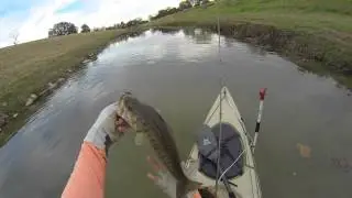 Bass To Redfish