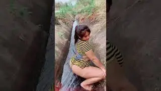 TikTok : pookpetmanee