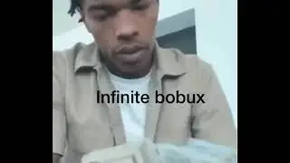 infinite bobux