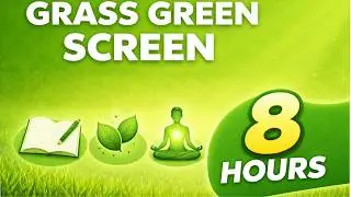 Grass Green Screen 8 Hours HD | Relaxing Nature Color Background for Sleep, Study & Meditation