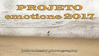 Etapa 1 - PROJETO EMOTIONE 2017 por luiz todeschi