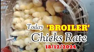 #Chicks_Rate | #ଛିଆ_ଦର #चूजों_दर | Dt-18/12/2024 | #chujekadar #ffg #kadaknath @IndianFarmer