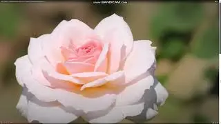 " Все будет хорошо ! "