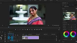 Premium wedding pack Lut Demo | Multi Presets - Lut