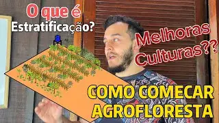 How to start Agroforestry - Choosing plants- Making design- stratification in Agroforestry