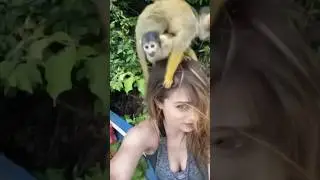 Monkeys fighting on my head 😱😂 wait until the end…