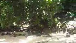 Private Beach